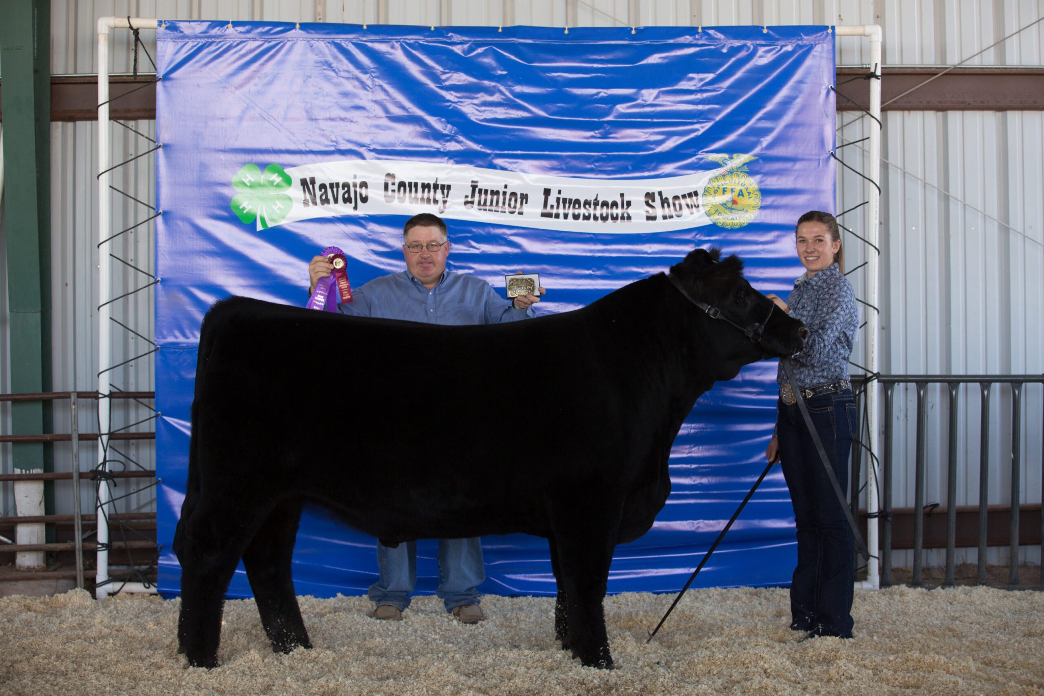 Junior Livestock Show lets county youth shine – Painted Desert Tribune