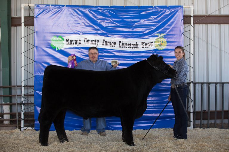 Photos by Taylor Hill/2 Diamond PhotographyGretchen Knox, Grand Champion Market Steer, Grand Champion Navajo County Bred and Fed Steer and Reserve Champion Senior Steer Showman.
