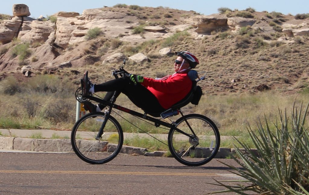 Pedal the Petrified1 copy