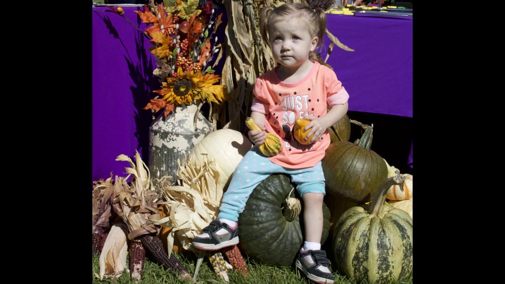 Photo by Linda KorTwo-year-old Belle Hayden of Holbrook took a moment from the fun at the Snowflake Harvest Festival to check out the wide variety of pumpkins brought to the event from Willis Farm in Snowflake.