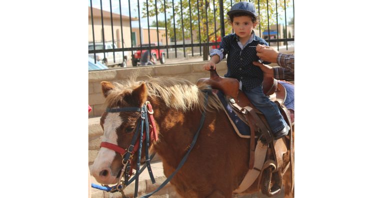 Photo by Toni GibbonsAlonso Vasquez Rodriguez rides one of the H and K Livestock ponies at the Old West Fest at the historic Navajo County Courthouse in Holbrook on Oct. 20. Alonso is nearly two years old and definitely a future cowboy in the making.