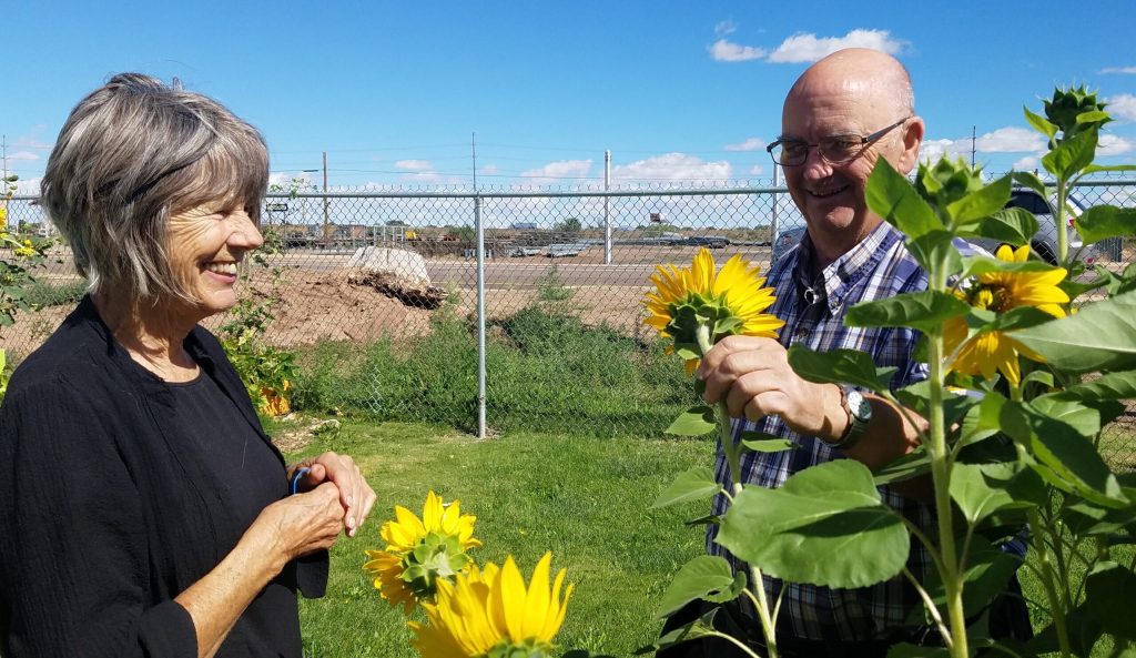 Photo by L. ParsonsLinda Chambers (left) and Dan Simmons (right) admire the sunflowers planted by local children at the Sweetland Community Garden.