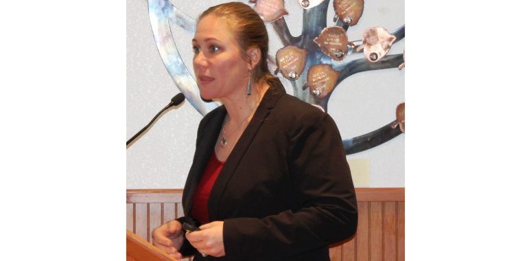 Photo by Toni GibbonsAllison Hephner, community outreach specialist with the Navajo County Public Health Services District, gave an overview of the findings from the Community Health Assessment at the Board of Supervisors meeting on Oct. 23.