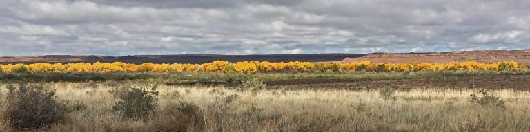 Photo by Matthew BargerFall is in full swing and the beautiful change in colors that come with the season are evident throughout the region including along the Little Colorado River running between Holbrook and Joseph City.