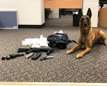 Photo courtesy of the Navajo County Sheriff’s OfficeK9 Deputy Legend is pictured here with the drugs and weapons he and Deputy Daniel Deets recovered from a vehicle search.