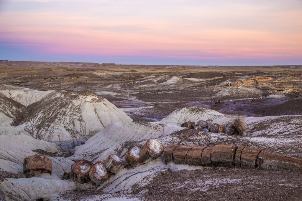 Photo courtesy of the Petrified Forest National ParkThe breathlessly beautiful Petrified Forest National Park, a destination for many travelers, is currently closed due to the federal government shutdown. The shutdown has left many employees of the park and their federally funded partners without work until the government reopens.