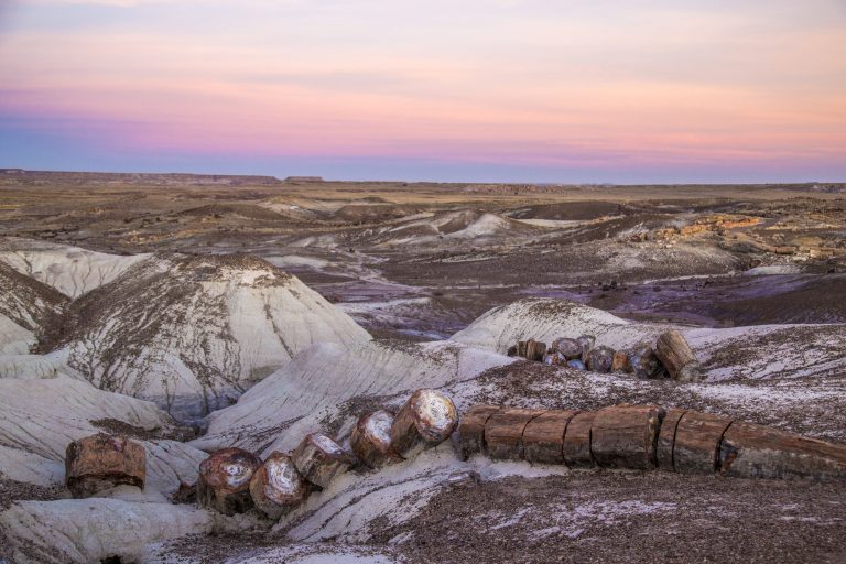 Photo courtesy of the Petrified Forest National ParkThe breathlessly beautiful Petrified Forest National Park, a destination for many travelers, is currently closed due to the federal government shutdown. The shutdown has left many employees of the park and their federally funded partners without work until the government reopens.