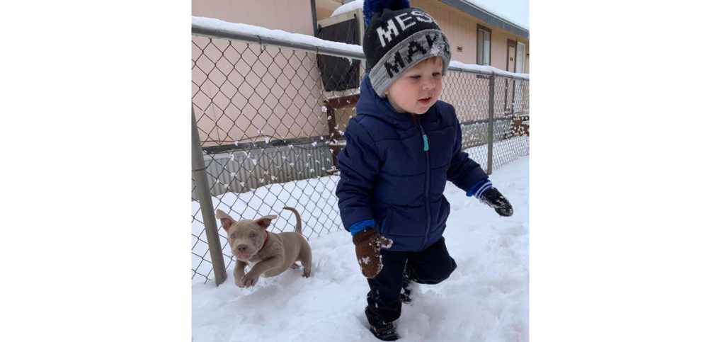 Photo by L. ParsonsBrax Moncayo (right) of Winslow and his best friend, Leo made the most of the large snowfall last week. The region received large amounts of snow ranging from approximately 4 inches in Joseph City to more than 2 feet in the Snowflake-Taylor area. The Flagstaff region received record single day snowfall of over 3 feet. Snowfall in that region and in southern Navajo County caused highway closures on Thursday and Friday.