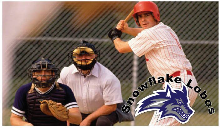 Baseball 4 Snowflake