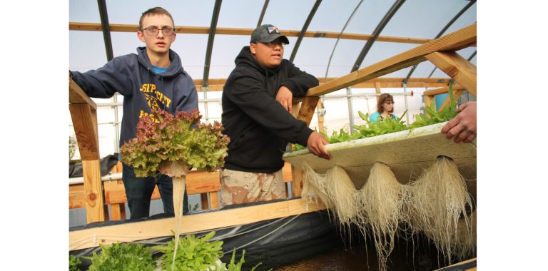 Photo by Linda KorJoseph City High School students Nick Winner (left) and Terrance Rodriguez (right) show how they are growing a variety of lettuce using aquaponics. The greenhouse was constructed last year and students are learning the value of growing and harvesting their own food. The fresh produce, which includes herbs and soon tomatoes, is also available for sale and sale dates can be found at the Joseph City Schools Facebook page.