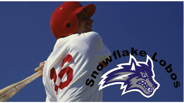 Baseball 3 Snowflake
