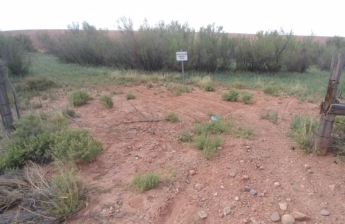 Photo by Tim KelleyAlthough clearly posted that it is prohibited, motorized ATVs make a daily trek across the levee, opening gates and causing erosion.