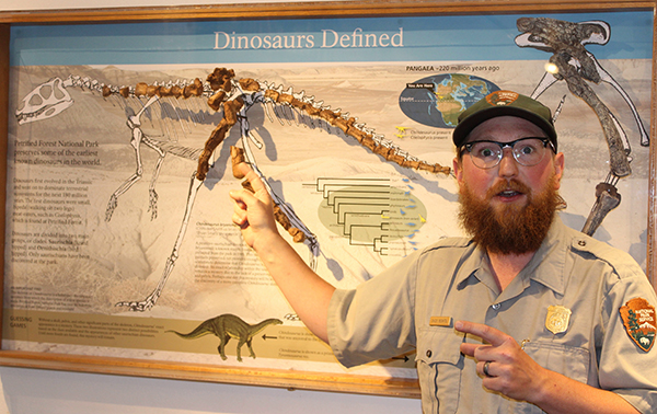 Photo by Toni GibbonsRoving paleontologist Chuck Beightol stands next to the framed skeletal remains of ‘Gertie’, the Chindesaurus Bryansmalli, that was discovered in 1985. Gertie is on permanent display at the Rainbow Forest Museum on the southside of the park.