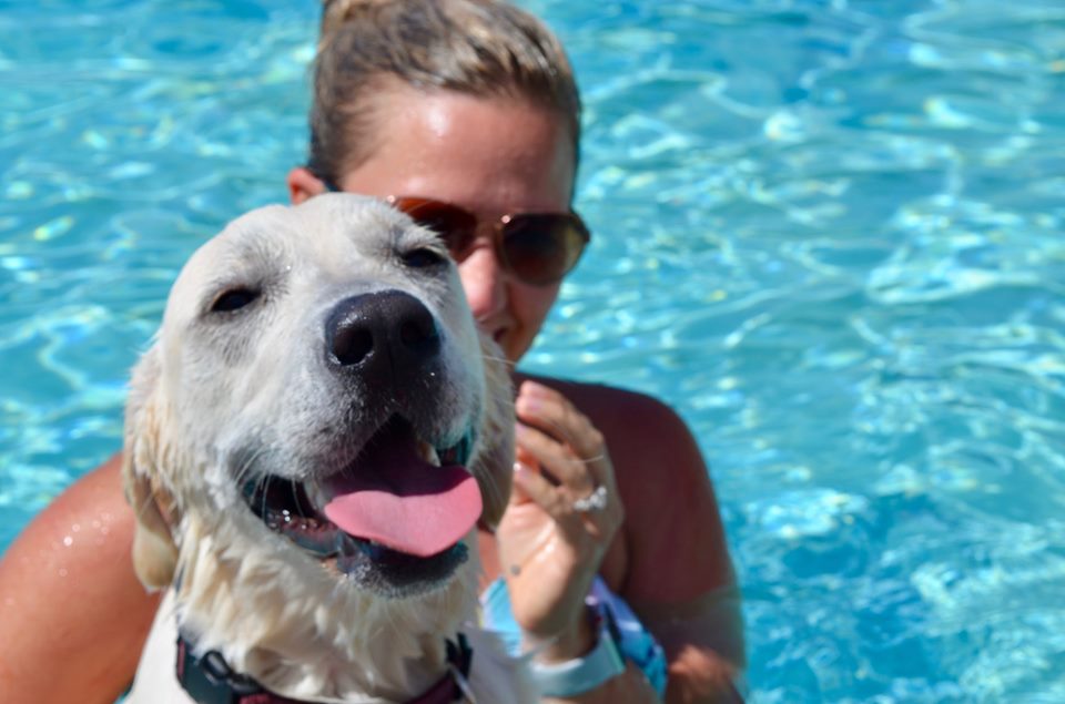 Photo by Kim JasterIt was a great day for a swim as seen here by Harley who took a swim with Meghan Carboneau earlier this month when pets throughout Holbrook and their owners went to the swimming pool in Holbrook for Dog Days of Summer.