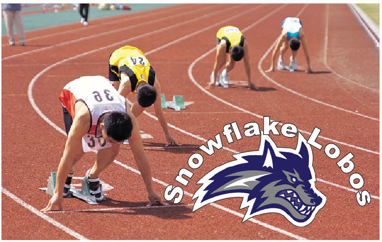 Track 1 Snowflake
