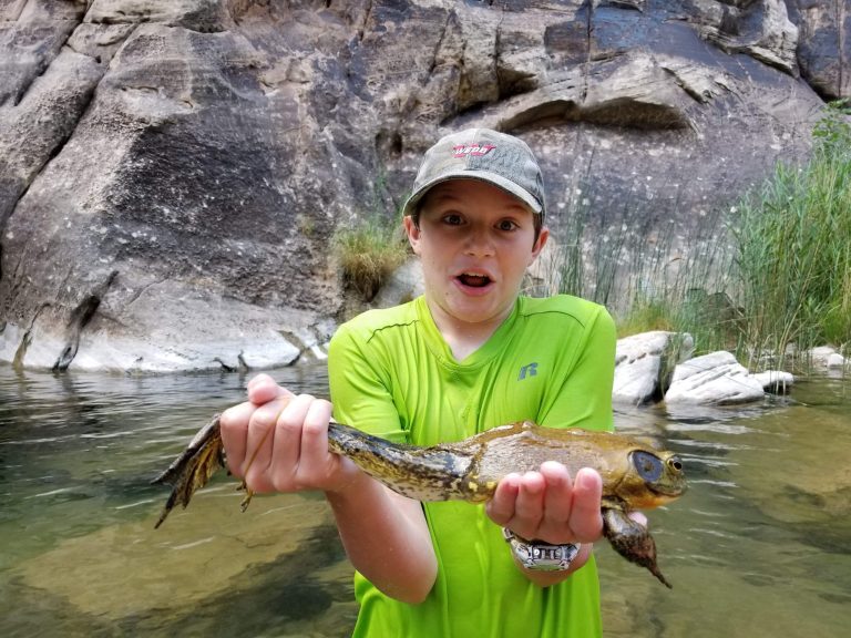 Photos courtesy of Rachel BergeAiden Berge found a huge frog on one of his trips out to Clear Creek with his family. “That thing had to weigh at least six pounds,” said Berge.