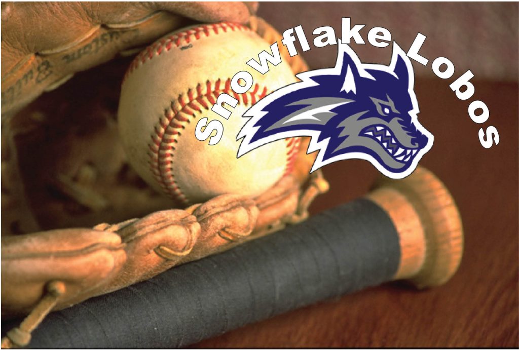 Baseball 1 Snowflake 2