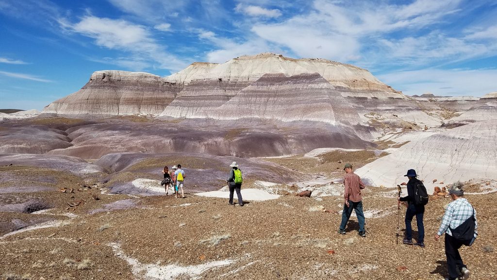 Photo by Dorenda WaltersThe Historic Blue Forest Hike is one of many hikes that will be offered throughout the month of March at the Petrified Forest National Park.