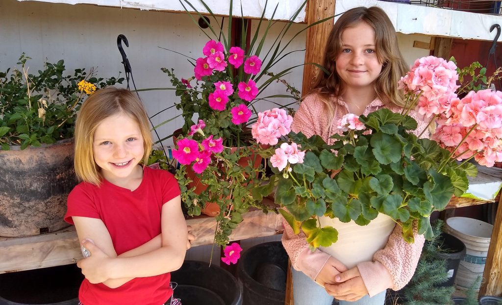 Photo courtesy of Twyla TaylorThe Rick and Twyla Taylor family in Holbrook have shown they have quite the green thumb this spring as their granddaughters Cadence and Kendrick Taylor show off some of the beautiful flowers growing in the greenhouse.