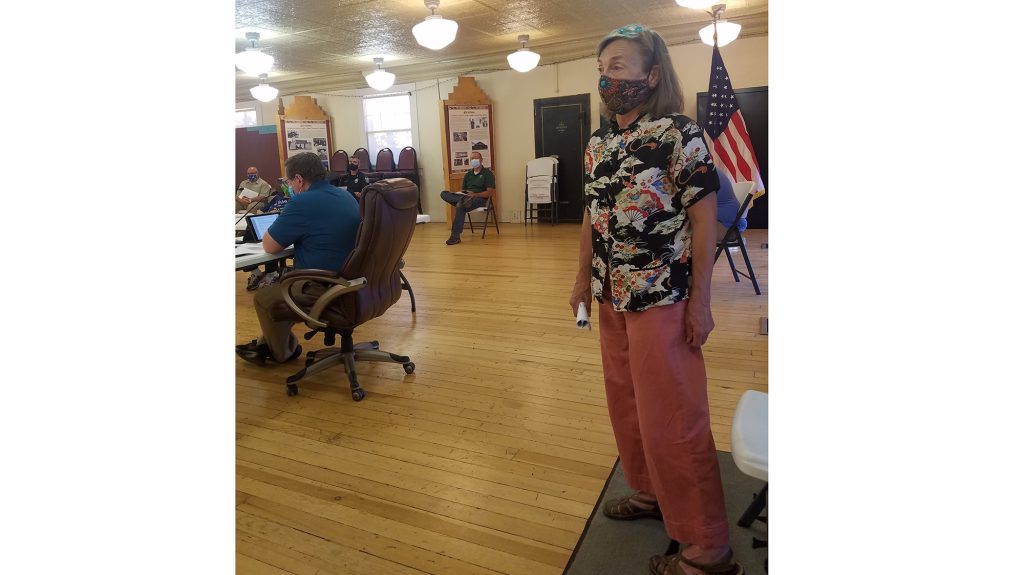 Photo by L. ParsonsMaree McHugh, secretary of the Citizen Liaison Committee, addressed the Winslow City Council during its meeting last week.