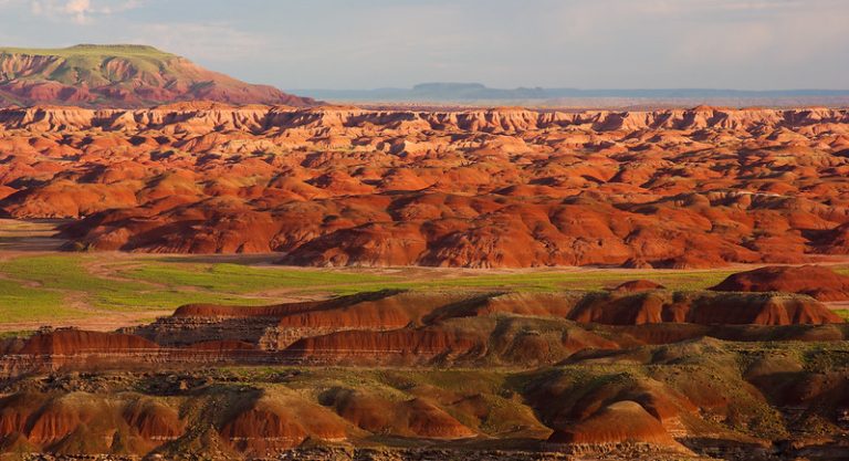 Photo courtesy of the Petrified Forest National ParkThe Petrified Forest is open for visitors with plenty of options for hikes that include scenic views with the option to bring along a furry friend with the Bark Ranger Program.