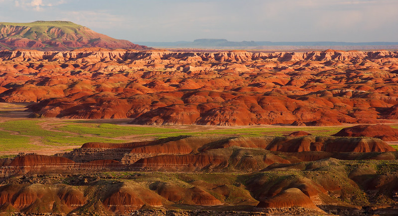 Photo courtesy of the Petrified Forest National ParkThe Petrified Forest is open for visitors with plenty of options for hikes that include scenic views with the option to bring along a furry friend with the Bark Ranger Program.