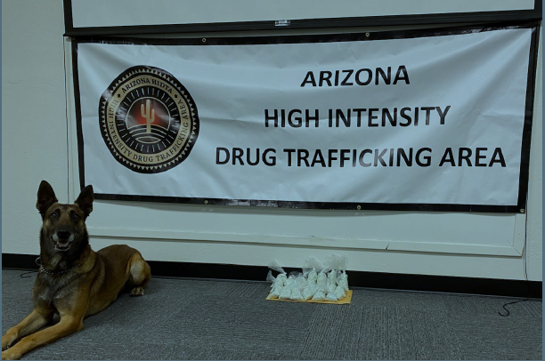 Photo courtesy of the Navajo County Sheriff’s OfficeNavajo County Sheriff’s Office K-9 Zolton earned his kibble last week and received the praise he deserves after he sniffed out $600,000 worth of fentanyl following a traffic stop last week.