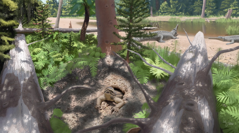 Artwork courtesy of the Petrified Forest National ParkA new 220 million-year-old species, named Skybalonyx skapter, has been discovered by researchers at the Petrified Forest National Park. This artist’s rendering depicts what the animal may have looked like when it was in existence.