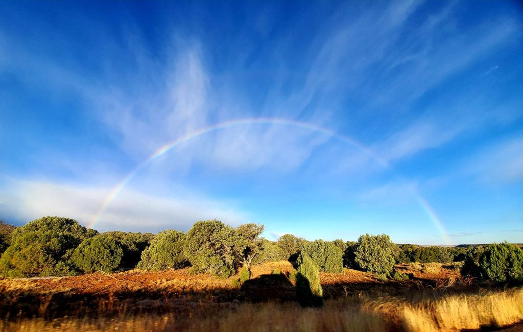 Photo by Cindy Blansett JaquezIt’s been a rough couple of weeks in the nation but here in Navajo County are the blessings of a more peaceful life. This rainbow spotted outside of Snowflake is a hopeful sign of better times to come.