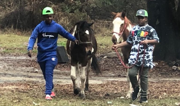 Photo Courtesy of Alan PalmerMarzavious Bradford’s (right) enjoys his new horse Rudolph with his big brother Marquavious (left). The boy’s wish to own a horse came true after reaching out to Alan Palmer, who has the YouTube channel The Farm on Route 66, and telling him how much he’s been wanting a horse of his own.