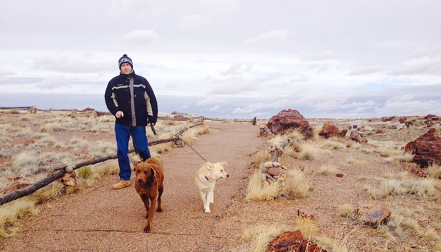 Photo courtesy of the Petrified Forest National ParkA visitor and his dogs enjoying a walk on the Giant Logs trail.