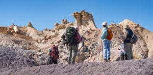 Photo by Gary GrubeThe Blue Mesa Walkabout is one of the scenic hikes that will be available at the Petrified Forest National Park this month.
