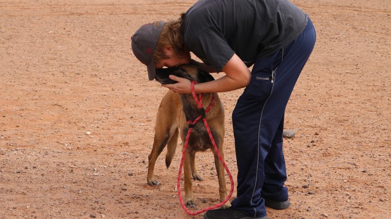 Photo courtesy of the Navajo County Sheriff’s Office Trey Bemies (pictured), the son of Nushka’s late owner who perished in a collision on Jan. 11, was elated to have the beloved animal returned to their family.