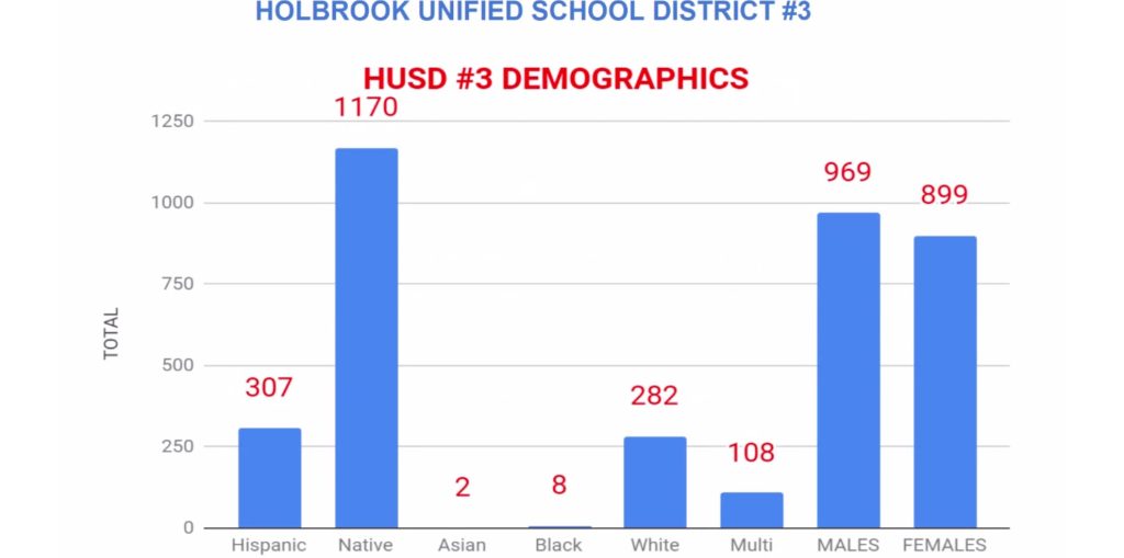 Photo courtesy of Holbrook Unified School DistrictThis demographic chart shows the student population served by the Holbrook Unified School District, the vast majority of which are Native Americans.