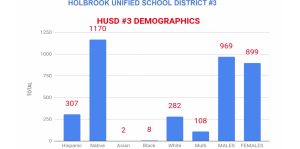 Photo courtesy of Holbrook Unified School DistrictThis demographic chart shows the student population served by the Holbrook Unified School District, the vast majority of which are Native Americans.