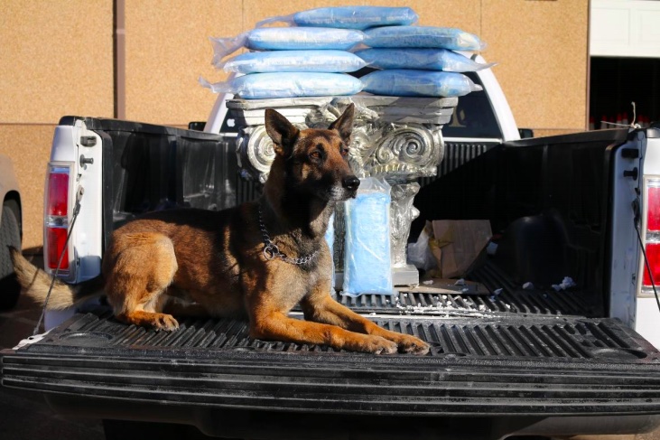 Photo courtesy of the Navajo County Sheriff’s Office NCSO K-9 Zolton is shown here with the drugs seized in one of two major drug busts last week along Interstate 40.