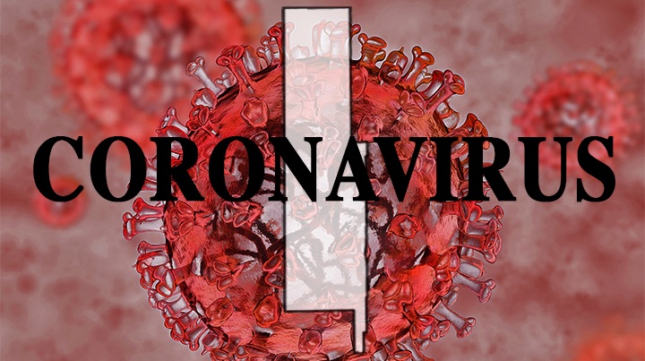 Coronaviurus photo2