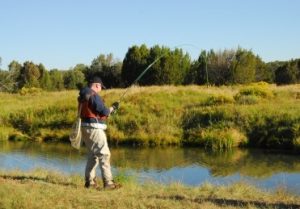 Silver Creek fishing