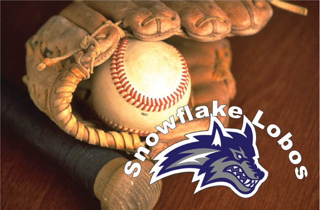 Baseball 2 Snowflake 1