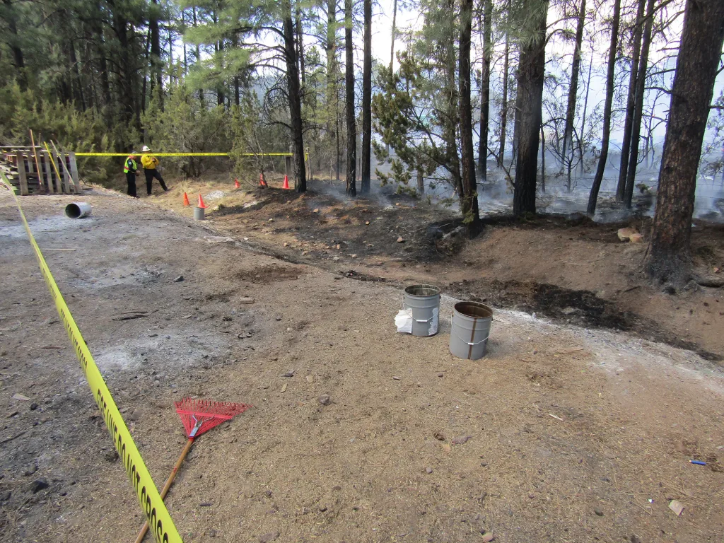 Photo courtesy of the Navajo County Sheriff’s OfficeThis fire in Overgaard last week was started by hot ashes dumped on pine needles.