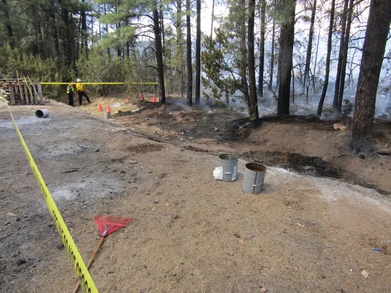 Photo courtesy of the Navajo County Sheriff’s OfficeThis fire in Overgaard last week was started by hot ashes dumped on pine needles.