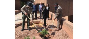 Photo courtesy of Navajo CountyNavajo County officials proclaimed April 27 the “Day of Remembrance,” for all those residents who suffered and lost their lives due to COVID-19. Taking part in the planting of a remembrance rose bush at the Navajo County Governmental Complex in Holbrook were (left to right) Sheriff David Clouse, County Manager Glenn Kephart, Supervisor Jason Whiting, Vice Chairwoman Dawnafe Whitesinger, Health Director Janelle Linn and Supervisor Alberto L. Peshlakai, as well as other elected officials.