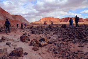 Photo by I-Ting ChiangLooking for some good weather adventures? The Petrified Forest offers backcountry hikes such as the Wilderness Loop Hike (shown here) that take visitors through the beautiful sights of the park. For more information on what the park has to offer visit the Petrified Forest website at nps.gov/pefo.