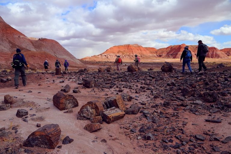 Photo by I-Ting ChiangLooking for some good weather adventures? The Petrified Forest offers backcountry hikes such as the Wilderness Loop Hike (shown here) that take visitors through the beautiful sights of the park. For more information on what the park has to offer visit the Petrified Forest website at nps.gov/pefo.