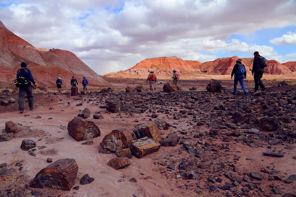 Photo by I-Ting ChiangLooking for some good weather adventures? The Petrified Forest offers backcountry hikes such as the Wilderness Loop Hike (shown here) that take visitors through the beautiful sights of the park. For more information on what the park has to offer visit the Petrified Forest website at nps.gov/pefo.