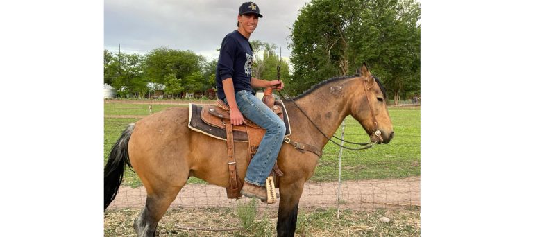 Photo courtesy of Alan PalmerBlake Palmer (pictured) of Joseph City spends much of his time working with the horses at The Farm on Route 66 to get them ready for new homes. His dad, Alan Palmer noted that as the popularity of the farm's YouTube channel grows, so does the demand for Blake's time. "Everyone loves Blake," he said. "People are always asking for Blake."