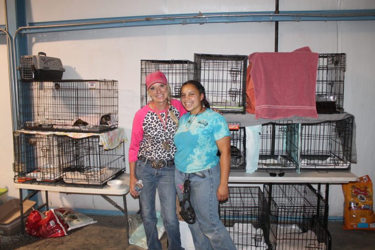 Fairgrounds Manager Michelle Stock (left) and Coconino Humane Association employee Cameron Bonitto (right) are ensuring that animals, including cats and dogs, are well cared for under stressful conditions.