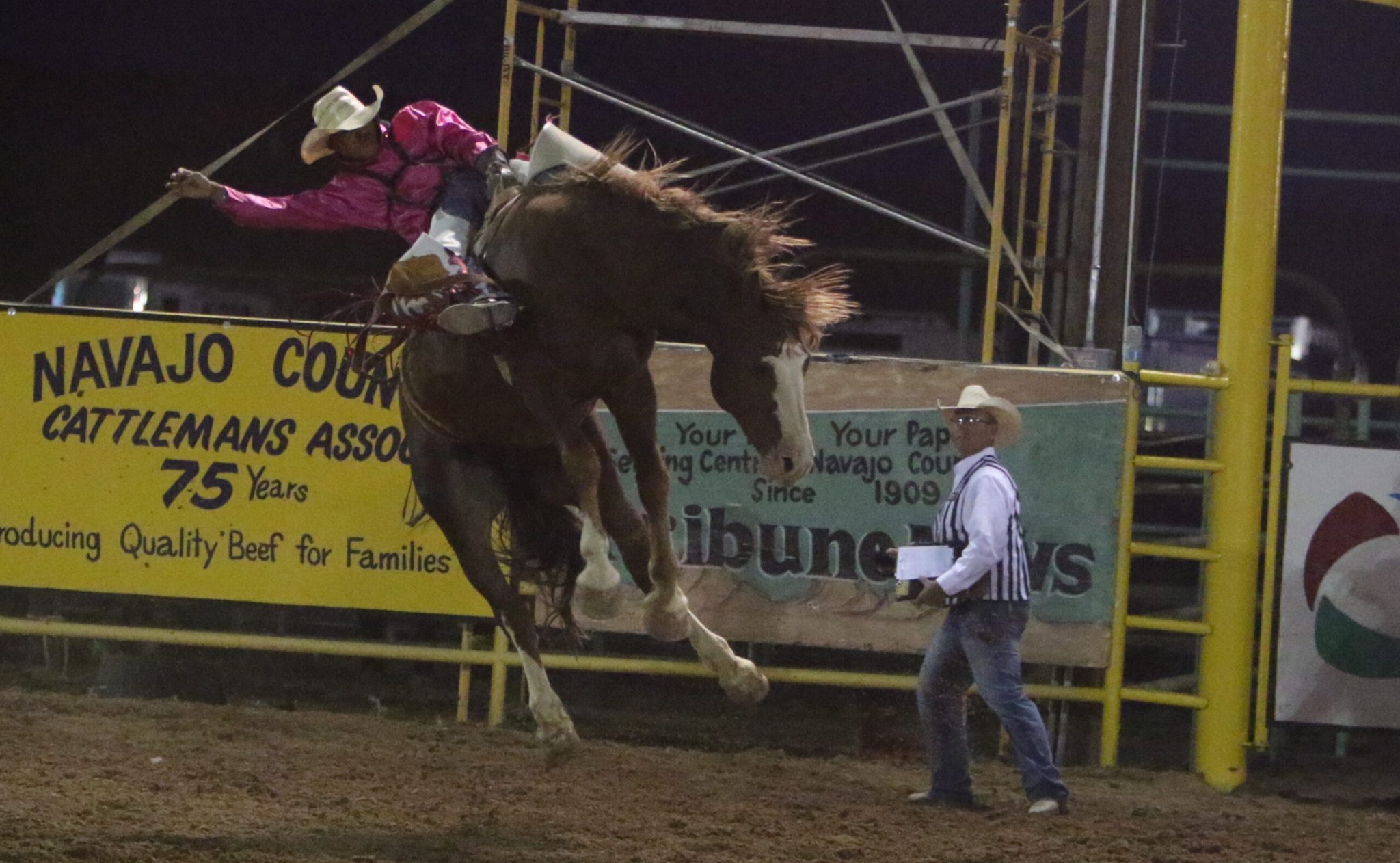 Talars Plaxe 67th Taylor Night Rodeo set for July 3 – Painted Desert Tribune