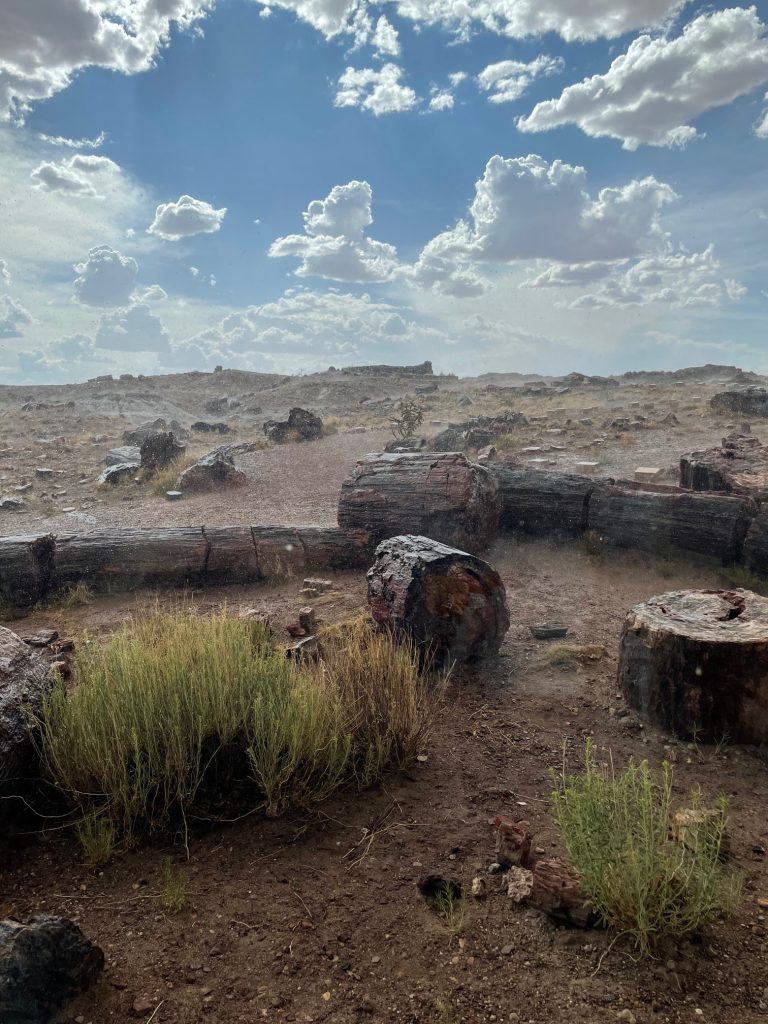 Photo by Joshua KorThe beauty of the Petrified Forest was on full display in this photo taken during a brief rain. Although the monsoons are in full swing, the rainfall in the area is far below what is needed to battle the current drought.