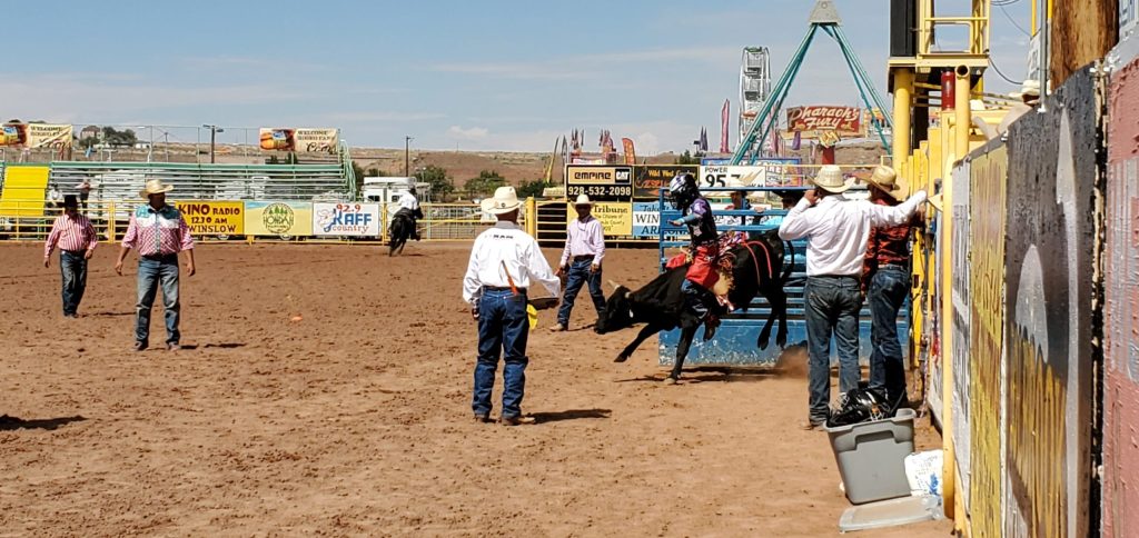 The Little Buckaroo Rodeo on Saturday featured some tough little riders competing on calves, sheep and dummy roping.